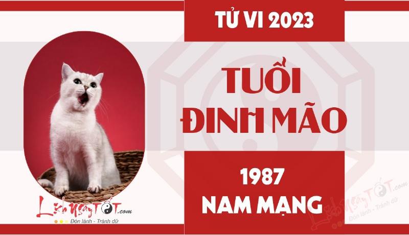 Nam Mạng Đinh Mão 2023