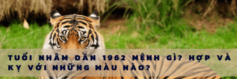 Phong thủy màu sắc Nhâm Dần 1962 nữ mạng