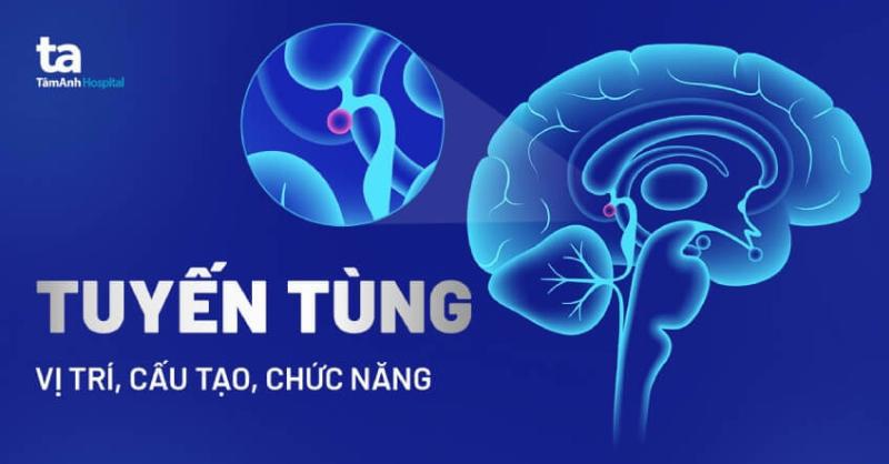 Học sinh lý học y ở Hà Nội giúp hiểu cơ thể hoạt động thế nào.