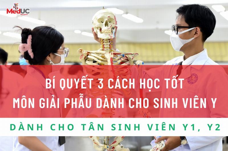 Sinh viên y khoa đang học giải phẫu cơ thể người từ sách và mô hình với 150 câu hỏi trắc nghiệm giải phẫu có đáp án