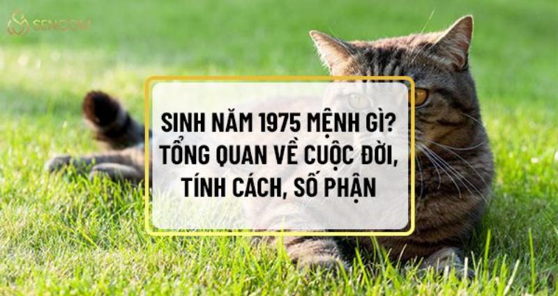 Tính cách nam sinh năm 1975