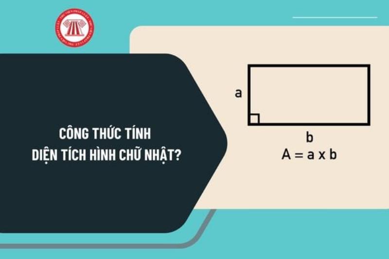 Tính diện tích hình chữ nhật