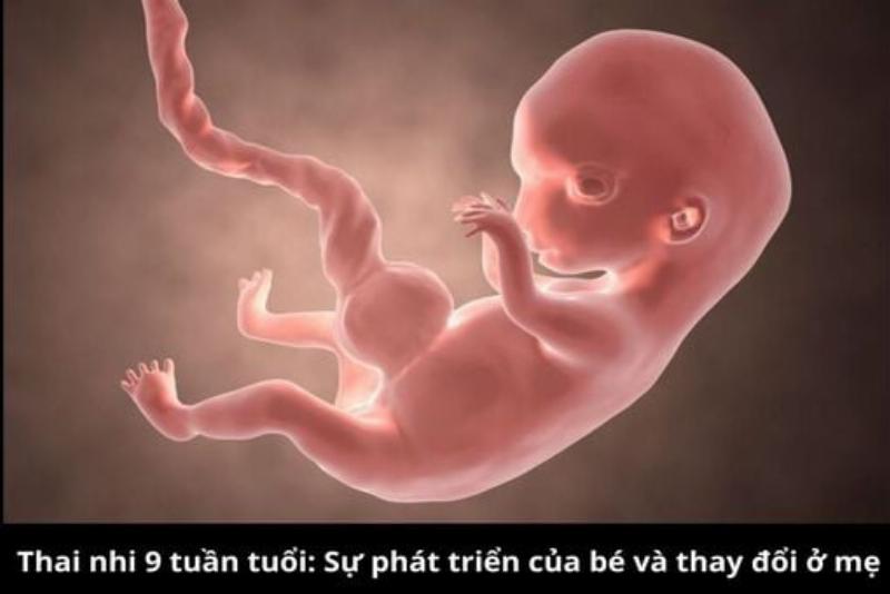 hinh-anh-be-tu-an-dam-thoi-gian-dau