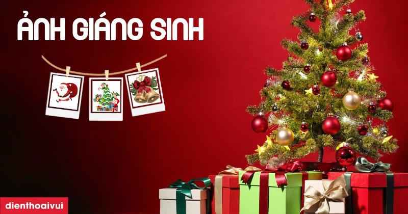 Ảnh Giáng Sinh Đẹp Lung Linh: Cây Thông Noel