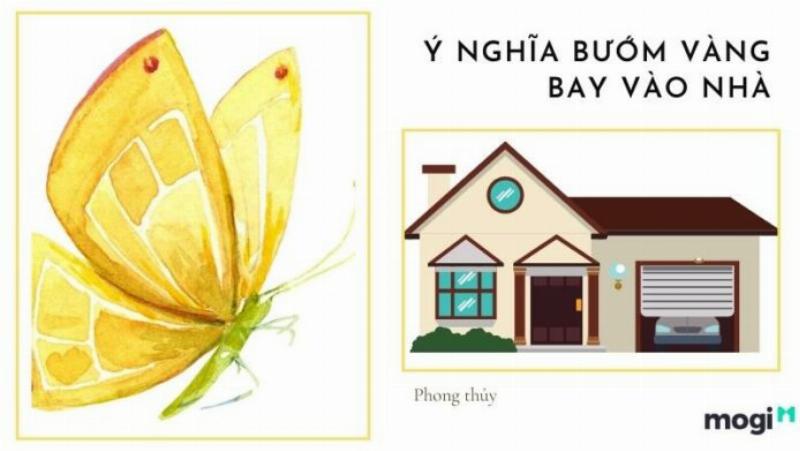 Bướm vàng bay vào nhà mang điềm lành gì?