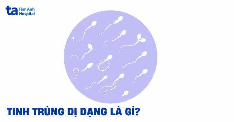 Minh hoa cac dang bat thuong ve hinh thai tu cung
