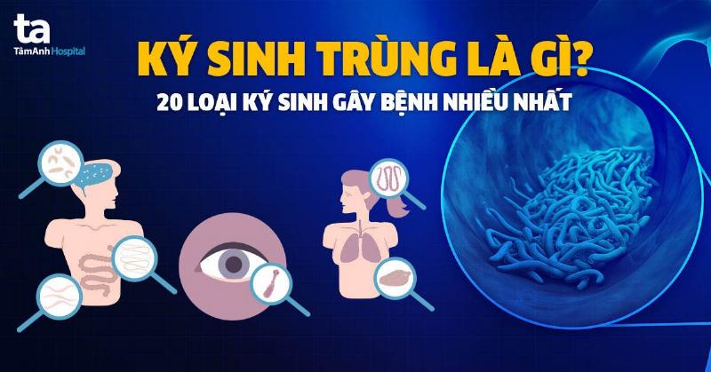 Minh họa 5 hình thức vận động bằng các biểu tượng: cơ học (bánh răng), vật lý (tia sét), hóa học (ống nghiệm), sinh học (lá cây), xã hội (nhóm người/đồ thị phát triển).