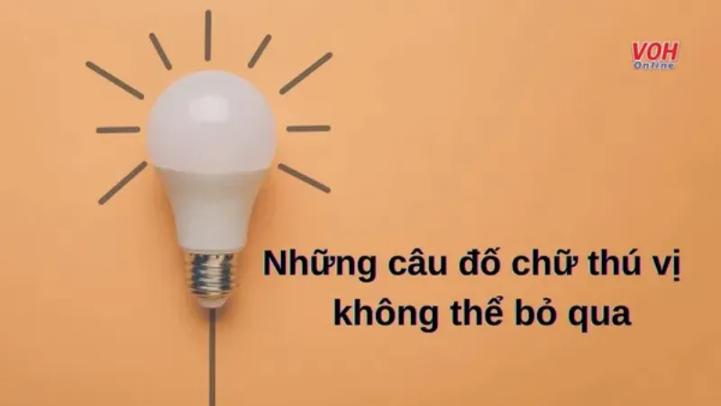 Câu Đố Từ Ngữ