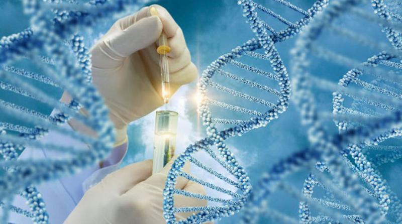 Cấu trúc DNA và nguyên tắc di truyền cơ bản trong giáo trình Sinh học và Di truyền Y Hà Nội