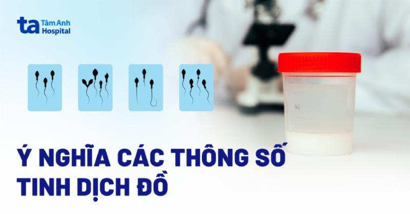 Biểu đồ hoặc biểu tượng minh họa các yếu tố ảnh hưởng đến chi phí khám nam khoa Đà Nẵng: loại dịch vụ, xét nghiệm, phòng khám, bác sĩ. Có thể sử dụng hình ảnh tiền tệ kết hợp với các biểu tượng y tế.