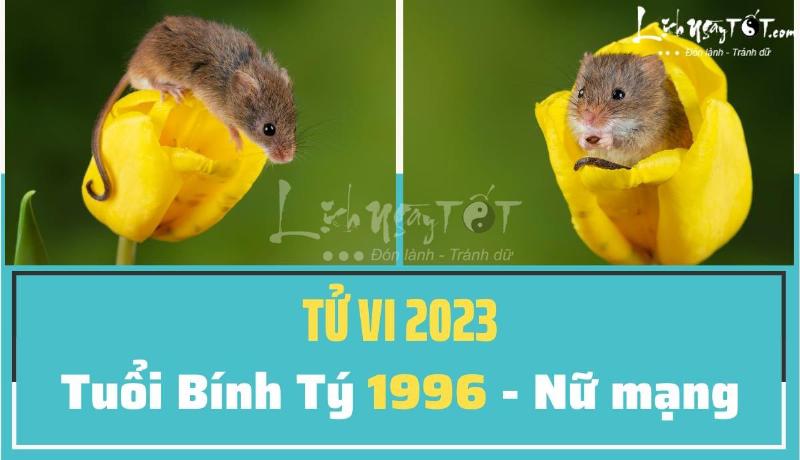 Chi tiết tử vi tuổi Tý 1996 nữ mạng 2023