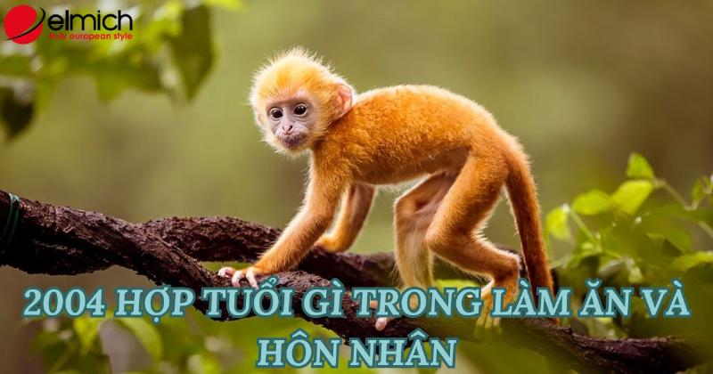 Cơ hội nghề nghiệp Giáp Thân 2004