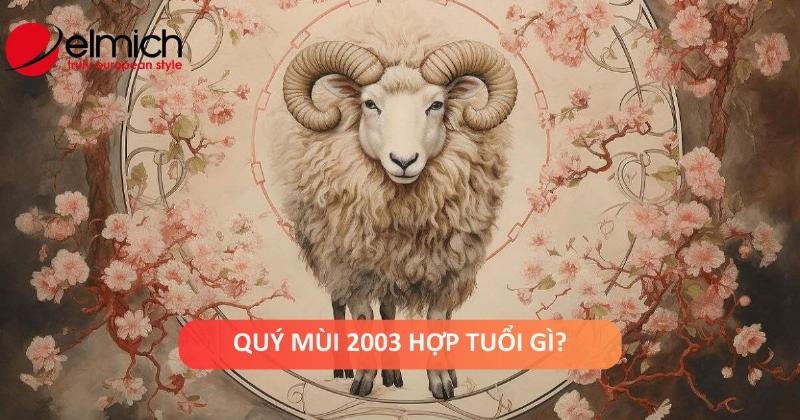 Danh sách kiểm tra cho tuổi Quý Mùi 2003