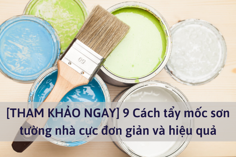 Dụng Cụ Sơn Lại Tường Bị Mốc