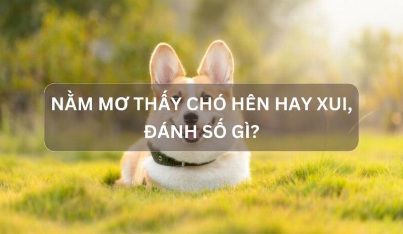 Giải Mã Giấc Mơ Thấy Chó Cắn Theo Tử Vi