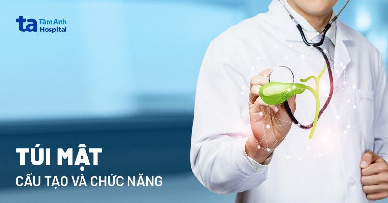 Giai phau vi tri gan tuy va tui mat cac tuyen phu tro quan trong trong vn-giai phau he tieu hoa