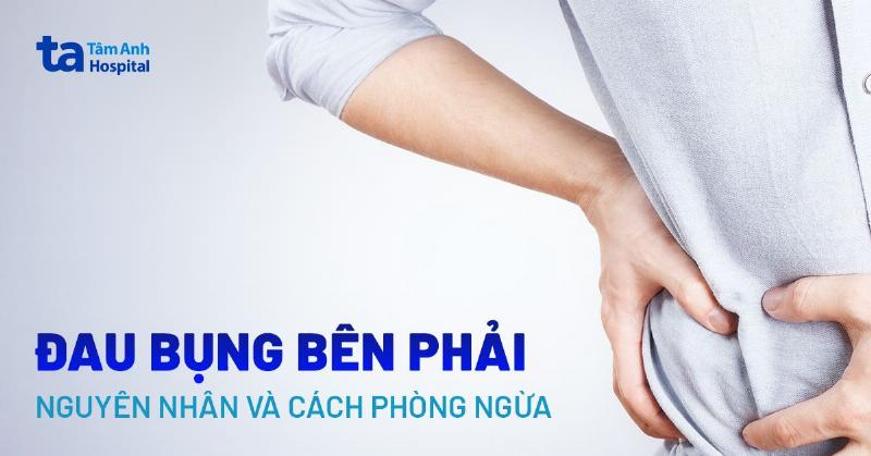 Mat cat ngang qua vung chau nu the hien vi tri cac co quan sinh duc