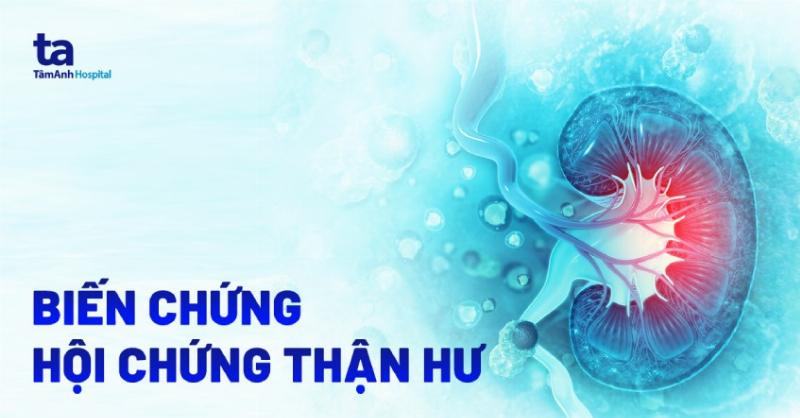 VN-Bệnh Án Hội Chứng Thận Hư: Hướng Dẫn Chi Tiết và Thông Tin Cập Nhật