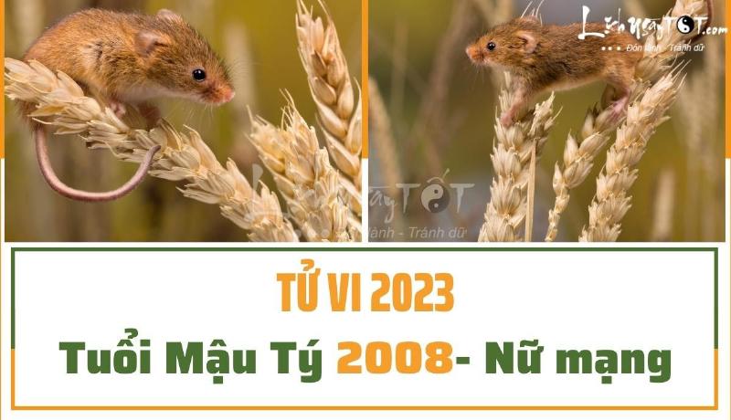 Học tập của tuổi Mậu Tý 2008 nữ mạng năm 2023