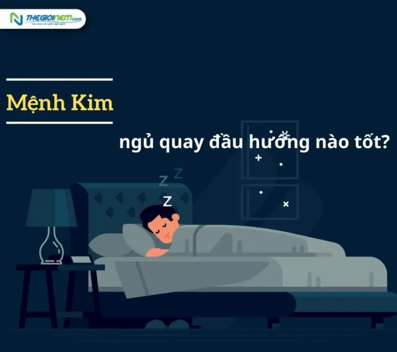 Khi Ngủ Đầu Nên Quay Về Hướng Nào Theo Tử Vi?