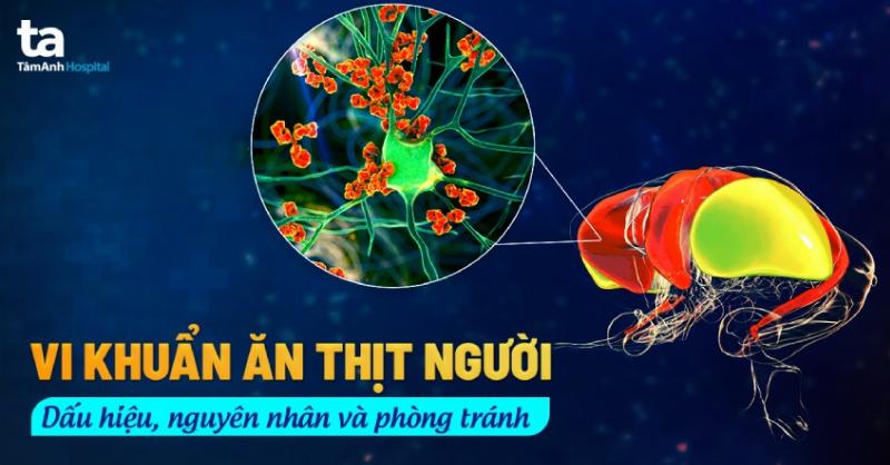 Khi Nào Nên Tham Khảo Tử Vi