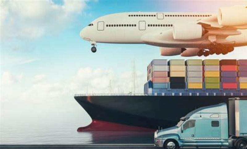 Minh hoa cong doan kiem tra va chinh sua bao cao thuc tap logistics truoc khi nop
