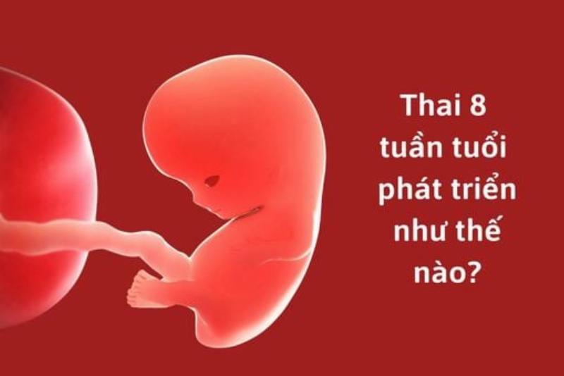 Hình ảnh biểu tượng cho kinh nghiệm và lời khuyên, có thể là người cố vấn đang chia sẻ hoặc biểu tượng "aha" với các ghi chú