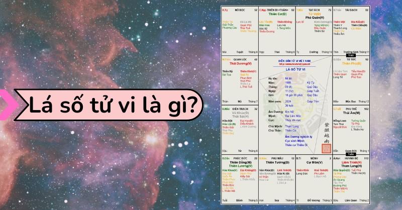 Lá Số Tử Vi Cơ Bản