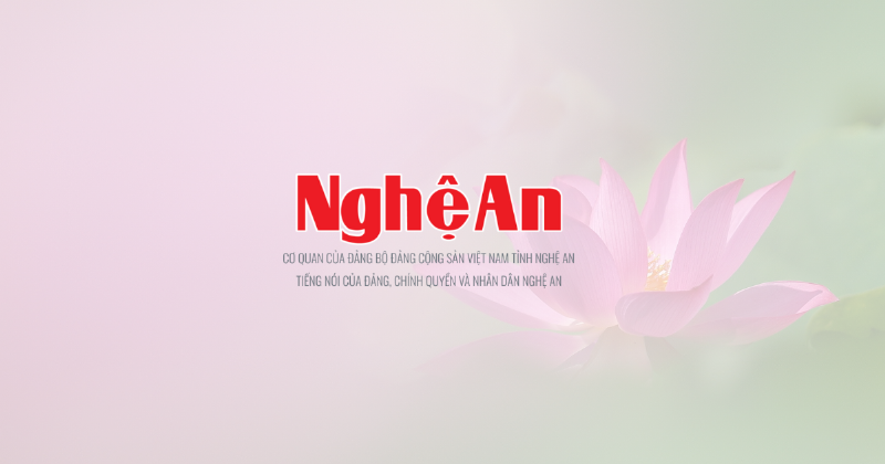 Xem Ngày Đẹp Tháng 11 Năm 2019