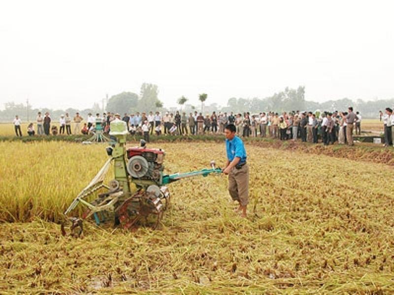 Lịch Âm và Nông Nghiệp