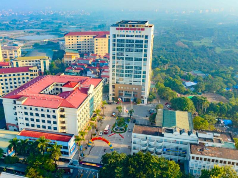 Sự kết nối giữa ngôn ngữ học và các lĩnh vực khác