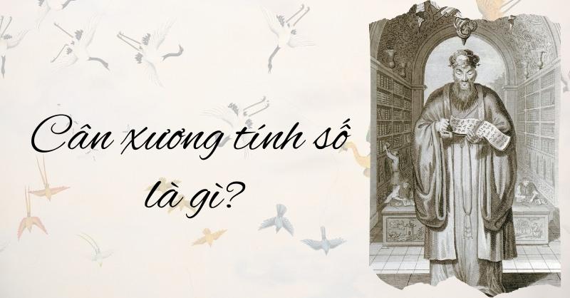 Lượng Chỉ Trong Tử Vi Là Gì?