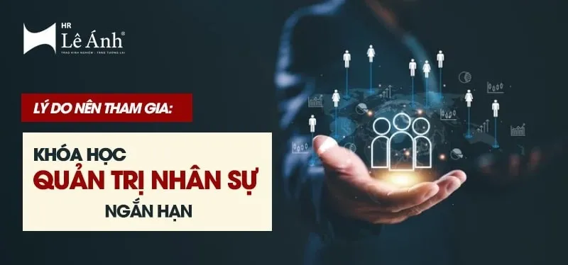 Khóa Học Quản Trị Nhân Sự Tại Lê Ánh HR: Nắm Vững Kiến Thức, Sẵn Sàng Làm Việc