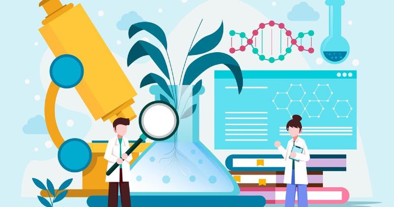 Lý Thuyết Đại Số Tuyến Tính: Cẩm Nang “Giải Mã” Thế Giới Phương Trình và Vector