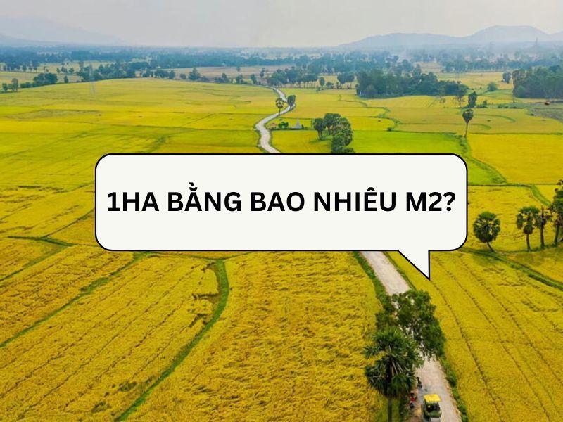 Mẹo ghi nhớ chuyển đổi hecta sang mét vuông