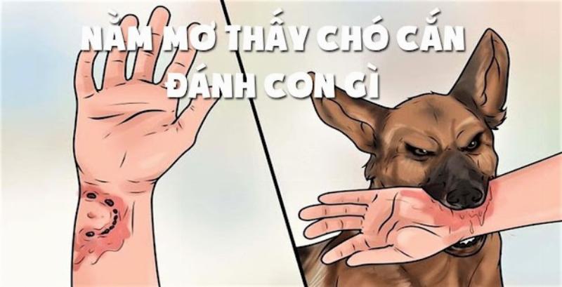 Mơ thấy bị chó cắn đánh con gì tham khảo