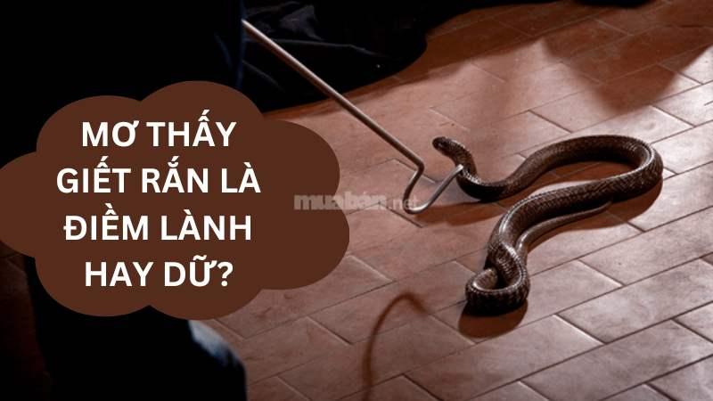 Ý nghĩa giấc mơ thấy rắn chết hoặc tự mình giết rắn