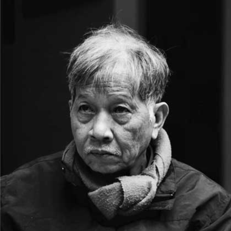Chan dung Vu Trong Phung va suc manh cua ngòi but phe phan xa hoi