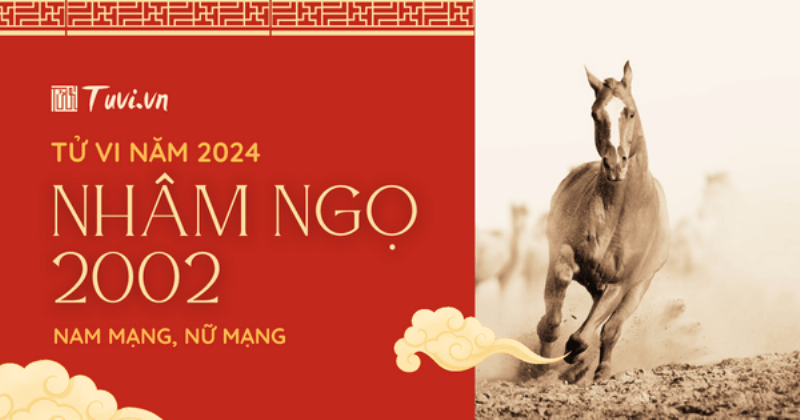 Công việc tuổi Nhâm Ngọ năm 2024