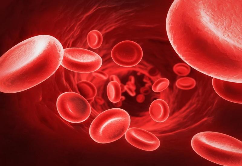Cách Đọc Khí Máu Động Mạch: Hướng Dẫn Chi Tiết Từ A-Z Cho Người Mới Bắt Đầu