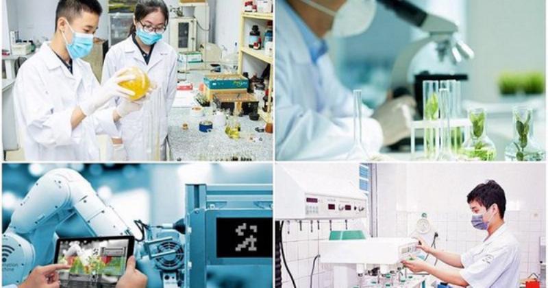 Phương Pháp Nghiên Cứu Khoa Học Trong Kinh Doanh: Cẩm Nang Từ A-Z