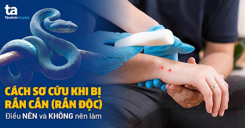 Nằm Mơ Thấy Rắn Cắn Vào Tay: Điềm Báo Gì?