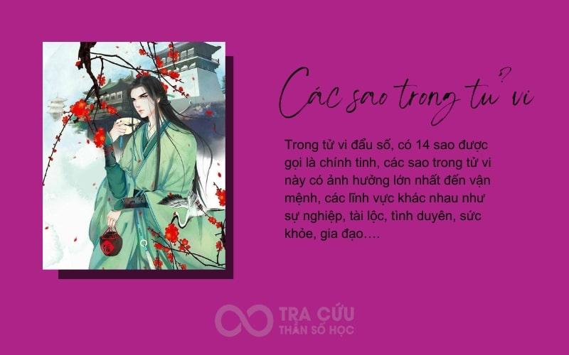 Sao Chính Tinh và Phụ Tinh Trong Tử Vi