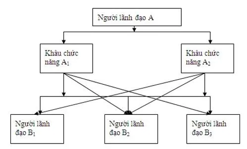 Cơ Cấu Tổ Chức Doanh Nghiệp: Khái Niệm, Các Loại Và Yếu Tố Ảnh Hưởng