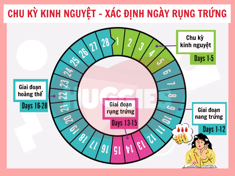 Sử Dụng Lịch Tháng 11 Hiệu Quả