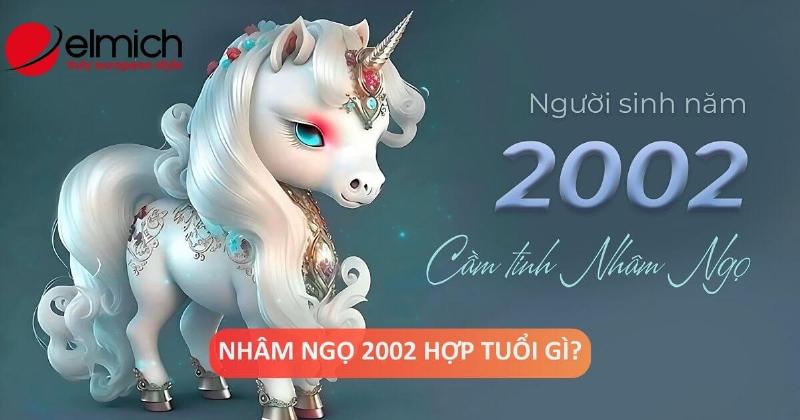 Sự nghiệp Nhâm Ngọ 2002 nữ mạng