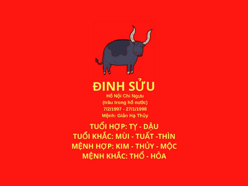 Hình ảnh thể hiện tài lộc dồi dào và việc quản lý tiền bạc khéo léo của nữ Đinh Mão 1997 năm 2024