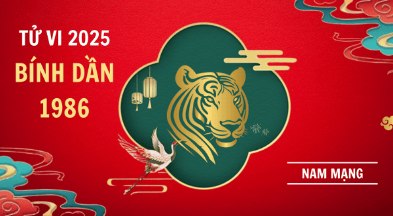 Tử Vi Bính Dần 2024 Nam Mạng: Một Năm Bứt Phá Hay Thử Thách?