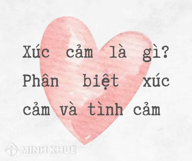 Minh hoa su khac biet giua xuc cam va tinh cam