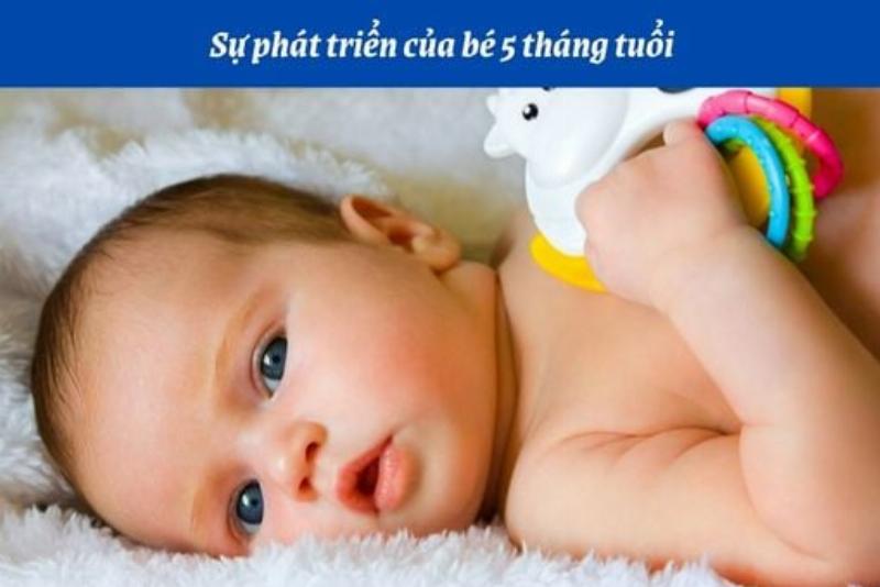 Hinh minh hoa ve su phat trien tam ly tre em qua cac giai doan tuoi